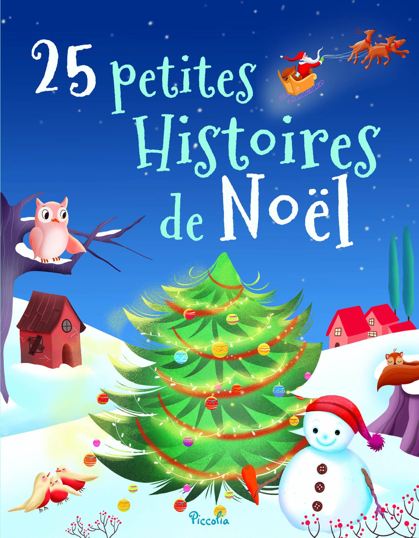 25 petites Histoires de Noel