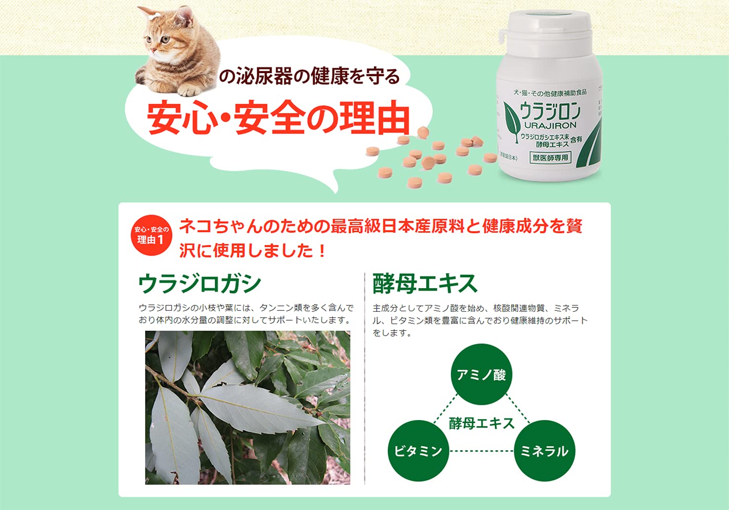 Amazon | 猫用 健康 サプリメント ウラジロン1袋（60粒