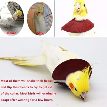 QBLEEV 4Pack Parrot Anti-bite E-Collars, Anti-Grab Feather Plucking Collars