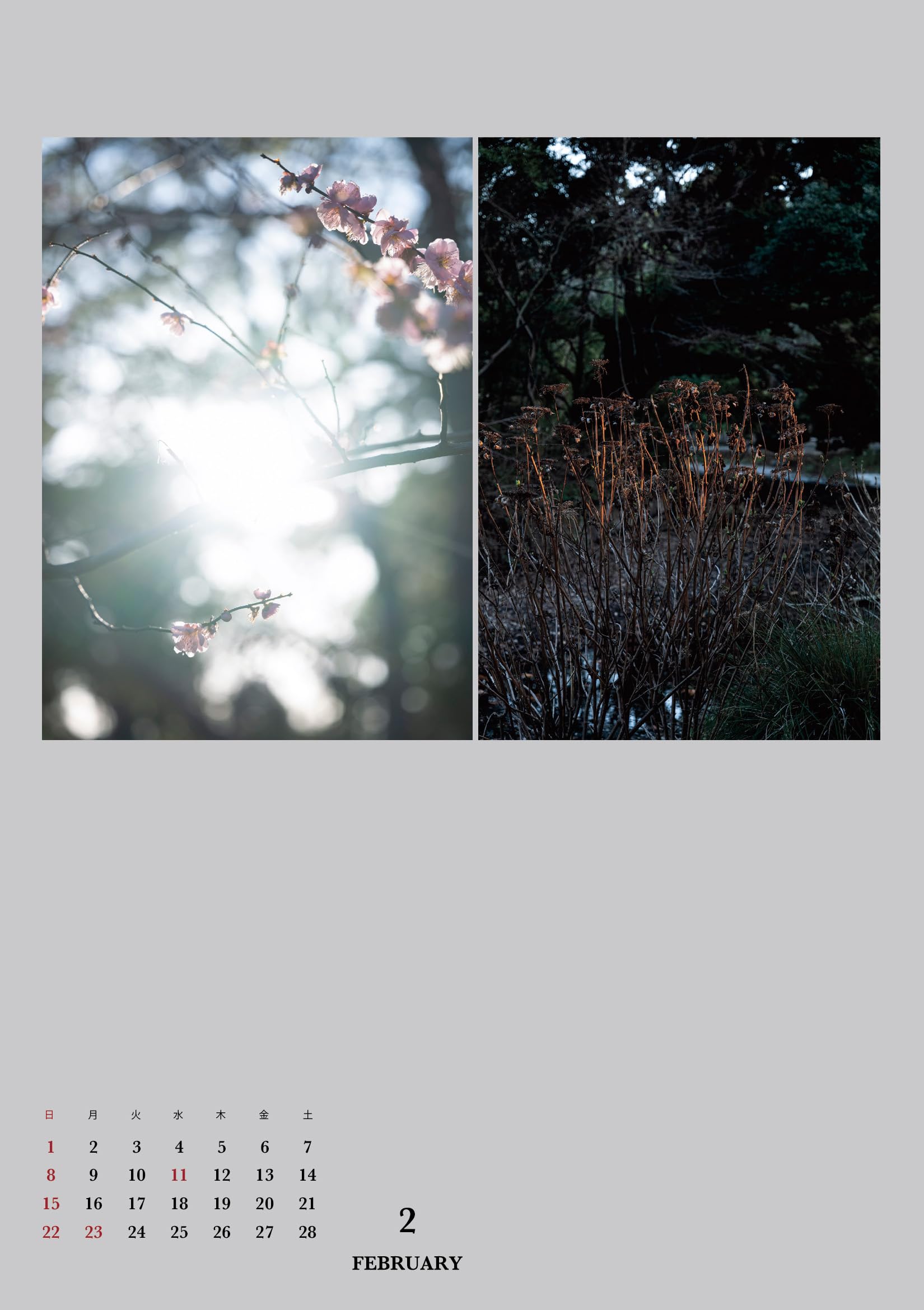 Amazon | カレンダー 2026 ARIGA SUGURU CALENDAR 有賀傑 夕景の