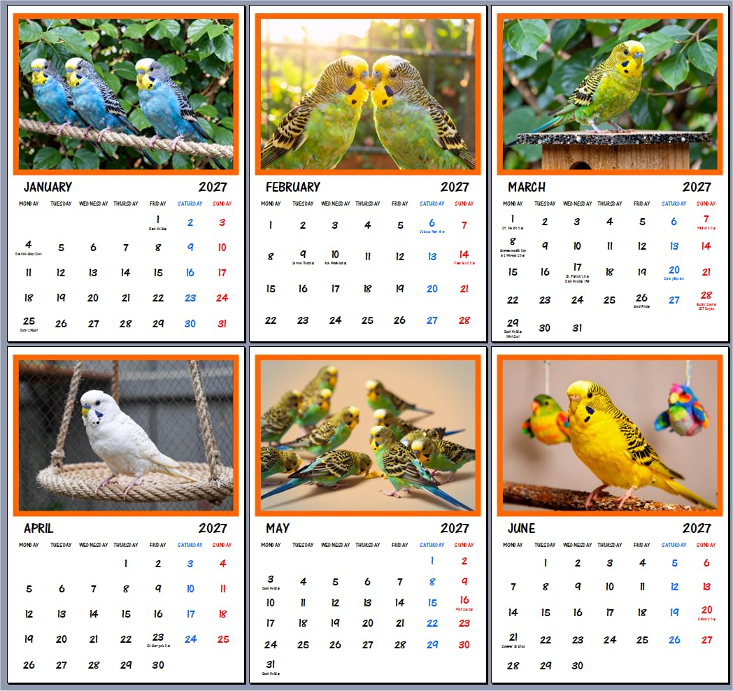 Budgies 2027 Wall Calendar A4 Each Month