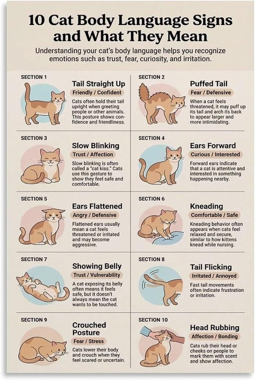 MQXFCZUX Cat Behavior Explained Body Language Signs Poster For Cat Owners Wall Hanging Framed,08x12inch(20x30cm)