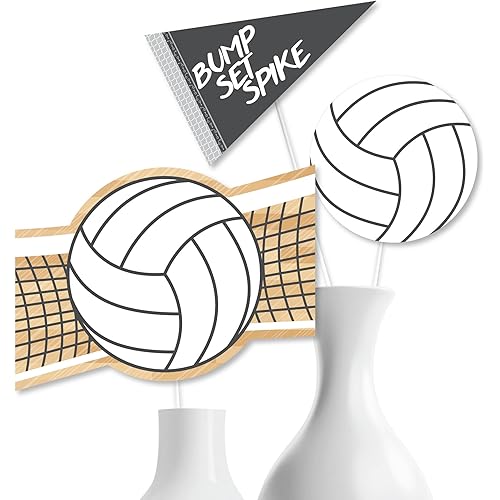 Big Dot of Happiness Volleyball Themed Party Decorations - Birthday Party Centerpieces/Table Toppers - Volleyball Party Decorations - DIY Party Decorations- Sport Party Decorations - Set of 15