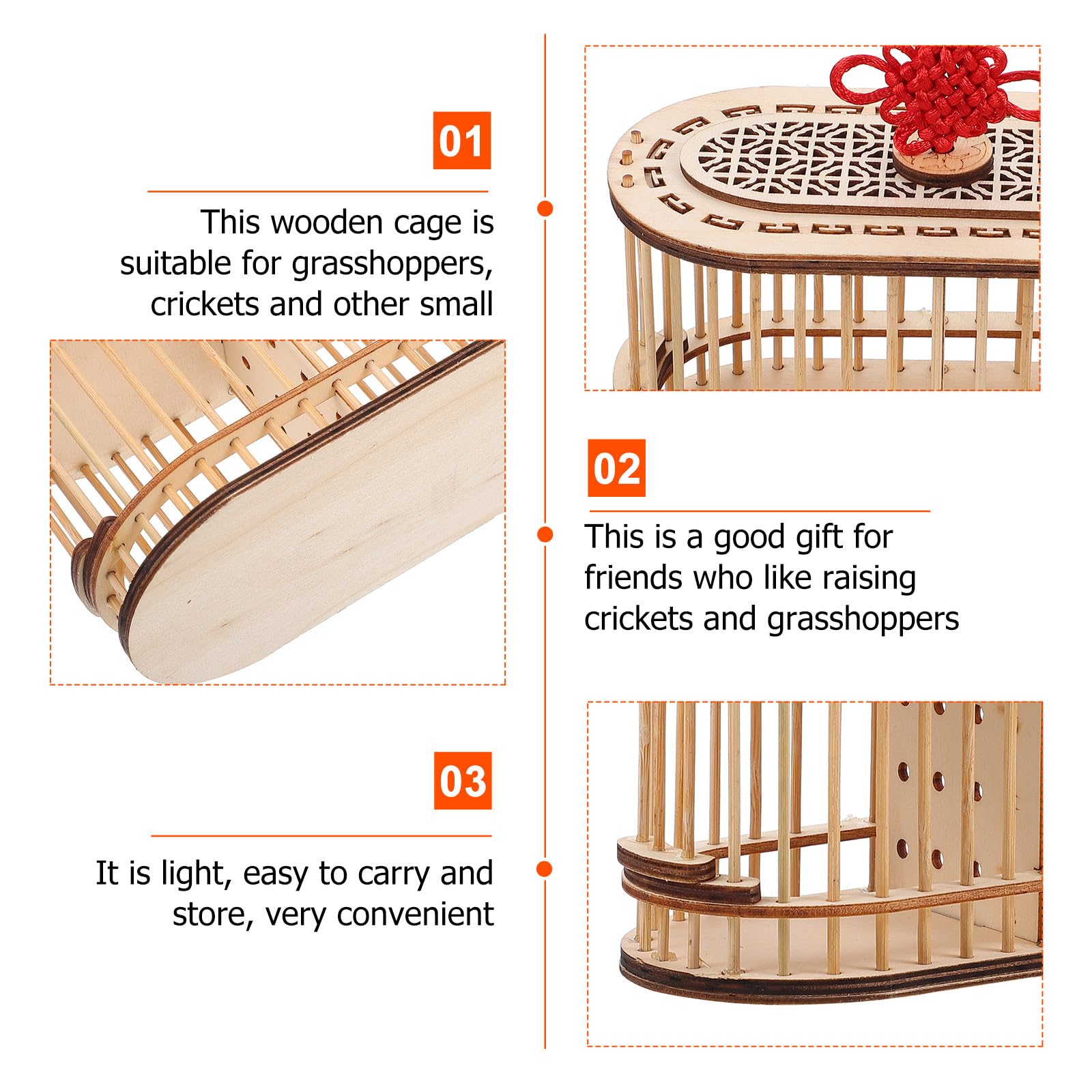Levemolo Jaula de Madera Portátil para Grillos y Insectos, Diseño Ovalado Doble Compartimento, Transporte y Observación para Actividades al Aire Libre y Educativas — view 3