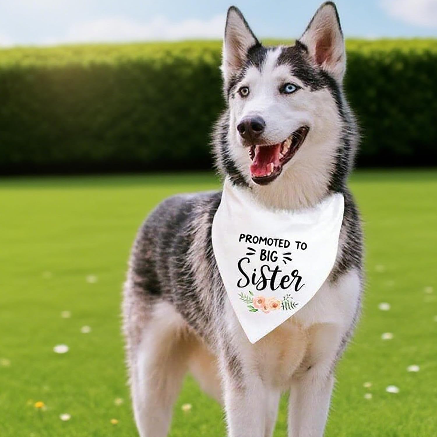 Pack of 2 Pet Dog Bandana, Adjustable Comfortable Bib, White Cotton Triangle Pet Bandana, Washable Bib with the Inscriptions "Big Brotherund "Big Sister image 5