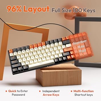 RK ROYAL KLUDGE RK100 Wireless Mechanical Keyboard RGB Backlit Bluetooth5.1/2.4G/Wired 96% Full Size 100-Key Hot Swappable Gaming Keyboard Red Switch Carbon