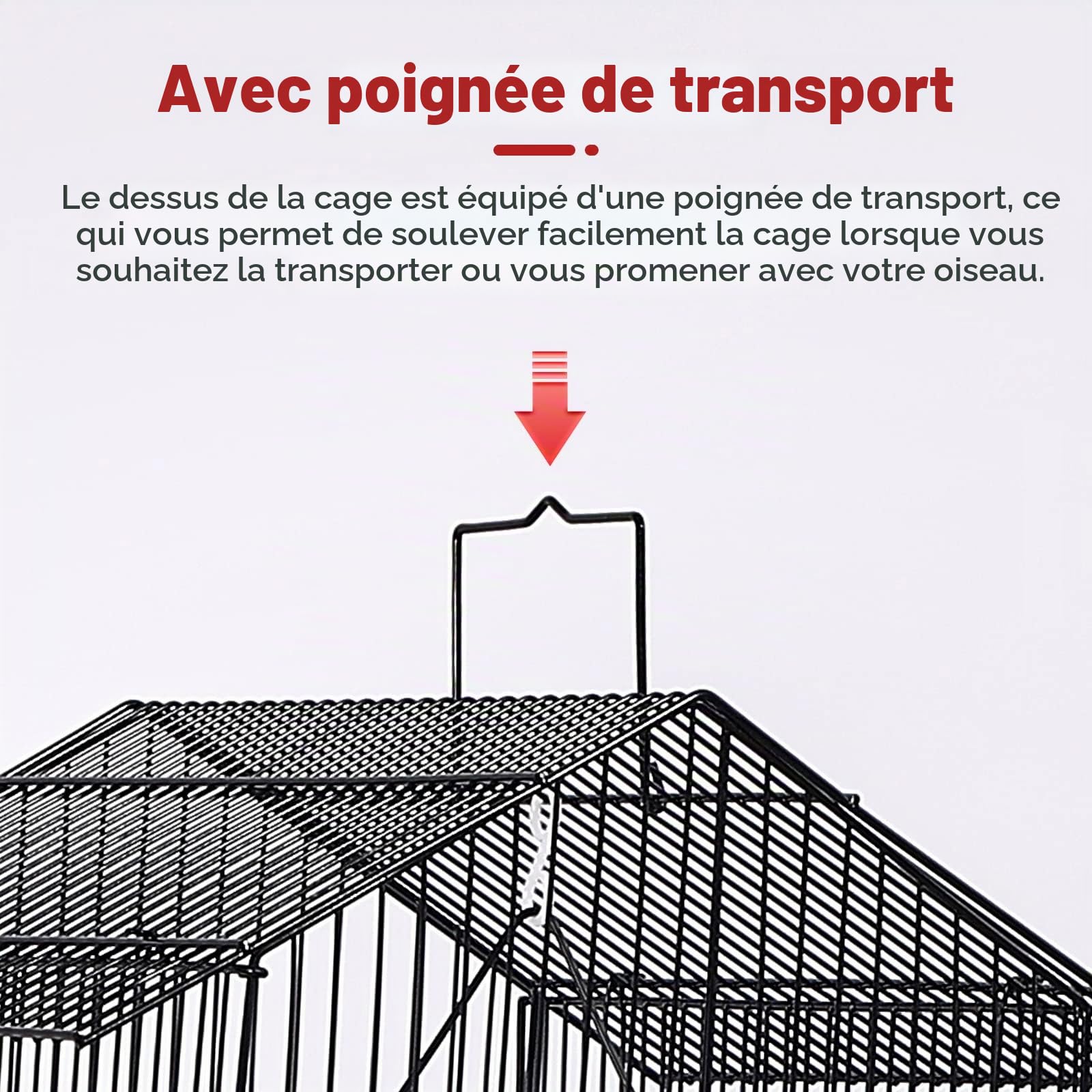 UISEBRT Cage à oiseaux avec jouet en cage - Grand nichoir à oiseaux en métal - Pour pinsons, canaris, perruches - Noir (type A, 46 x 35,5 x 99 cm)