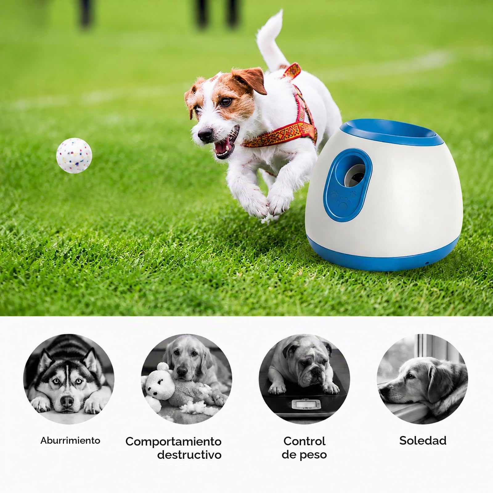 Lanza Pelotas Automático para Perros con 3 Distancias Ajustables | Incluye 3 pelotas de tenis, juguete interactivo para perros pequeños y medianos, apto para uso interior y exterior