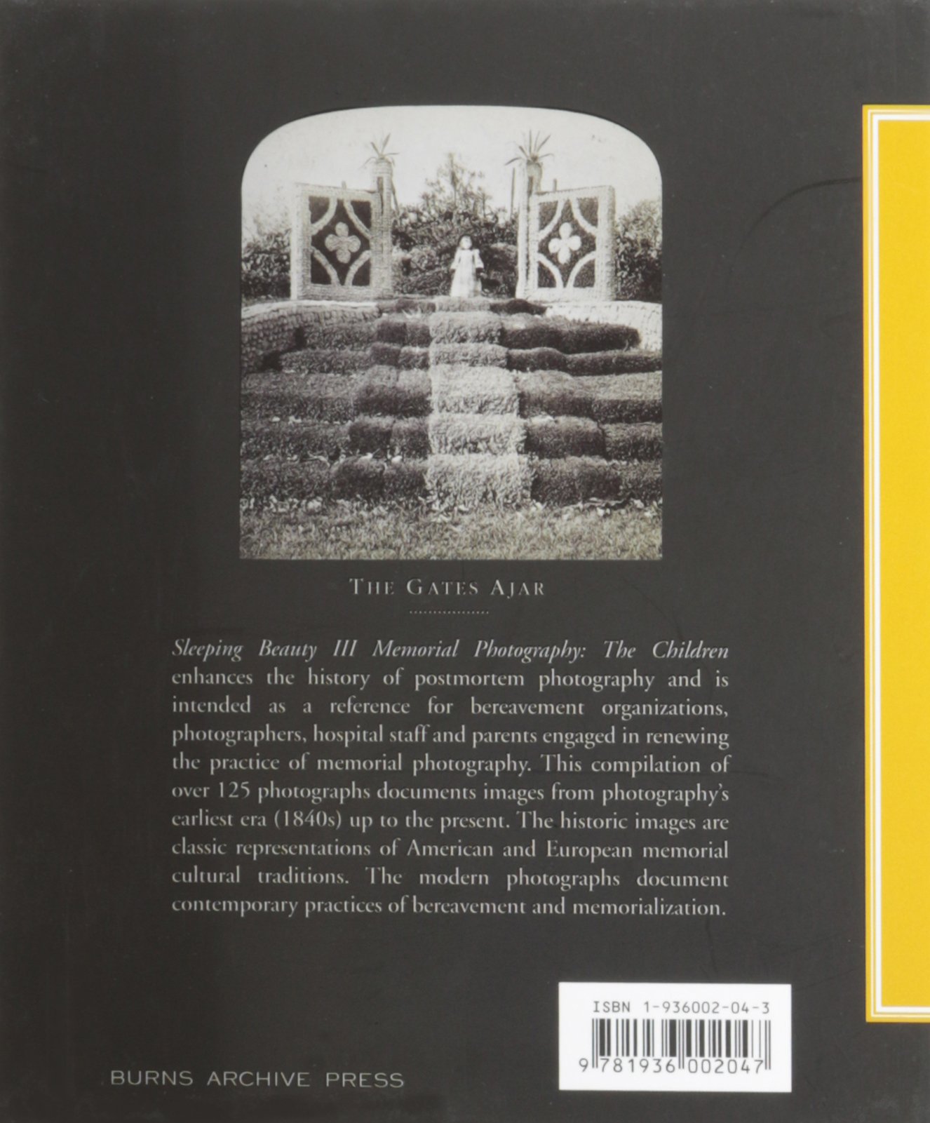 Amazon.co.jp: Stanley B. Burns, MD: 本、バイオグラフィー、最新