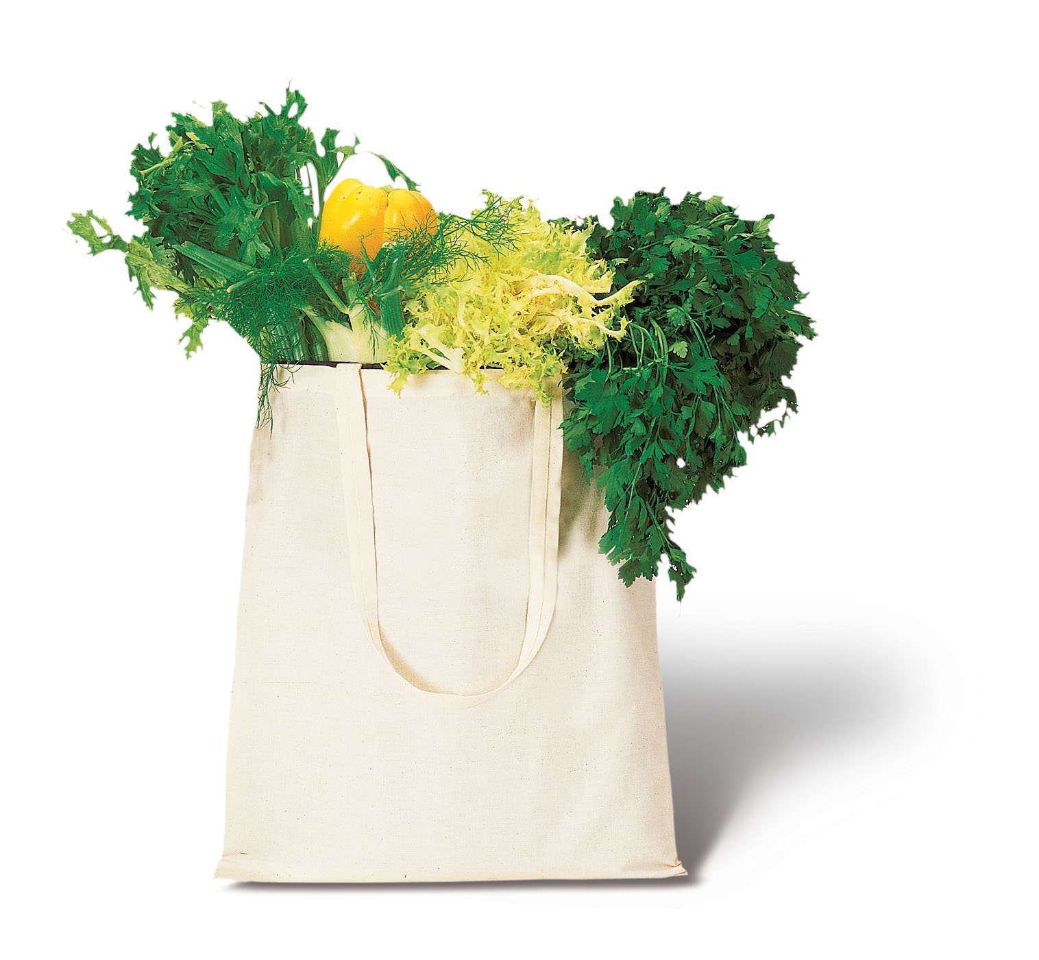 Stock 30 Pezzi Borsa Shopper Shopping in Cotone Naturale : Amazon.it: Casa  e cucina