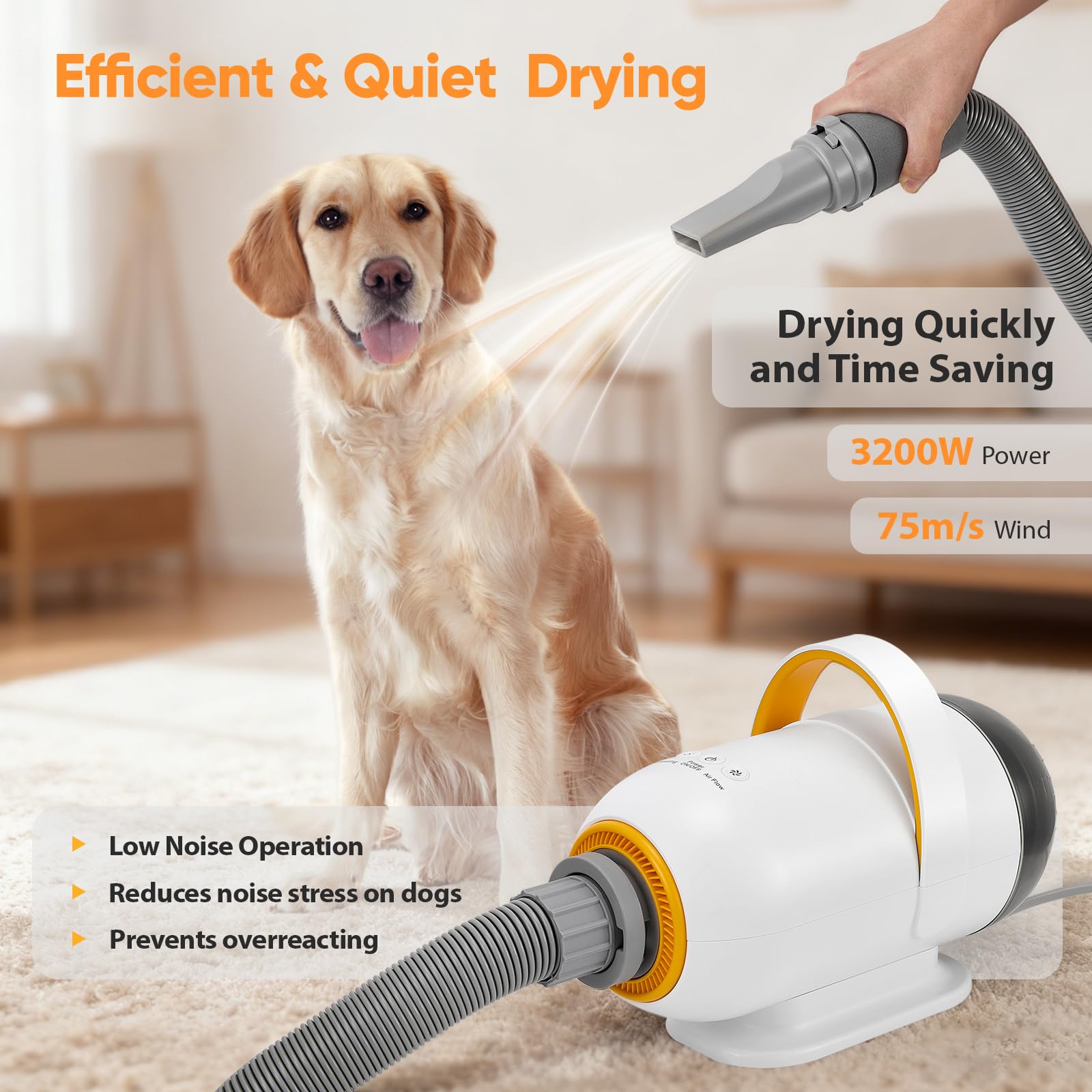 Asciugacapelli per cani 3200 W con 7 velocità regolabili, 4 punte, ciclo aria calda/fredda, asciugacapelli potente per animali, kit toelettatura cani e gatti
