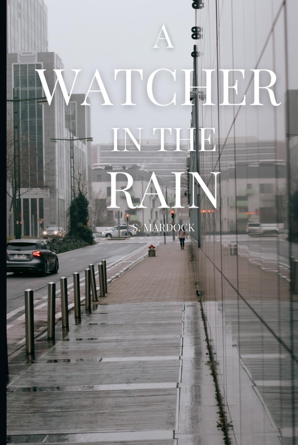 A Watcher in the Rain