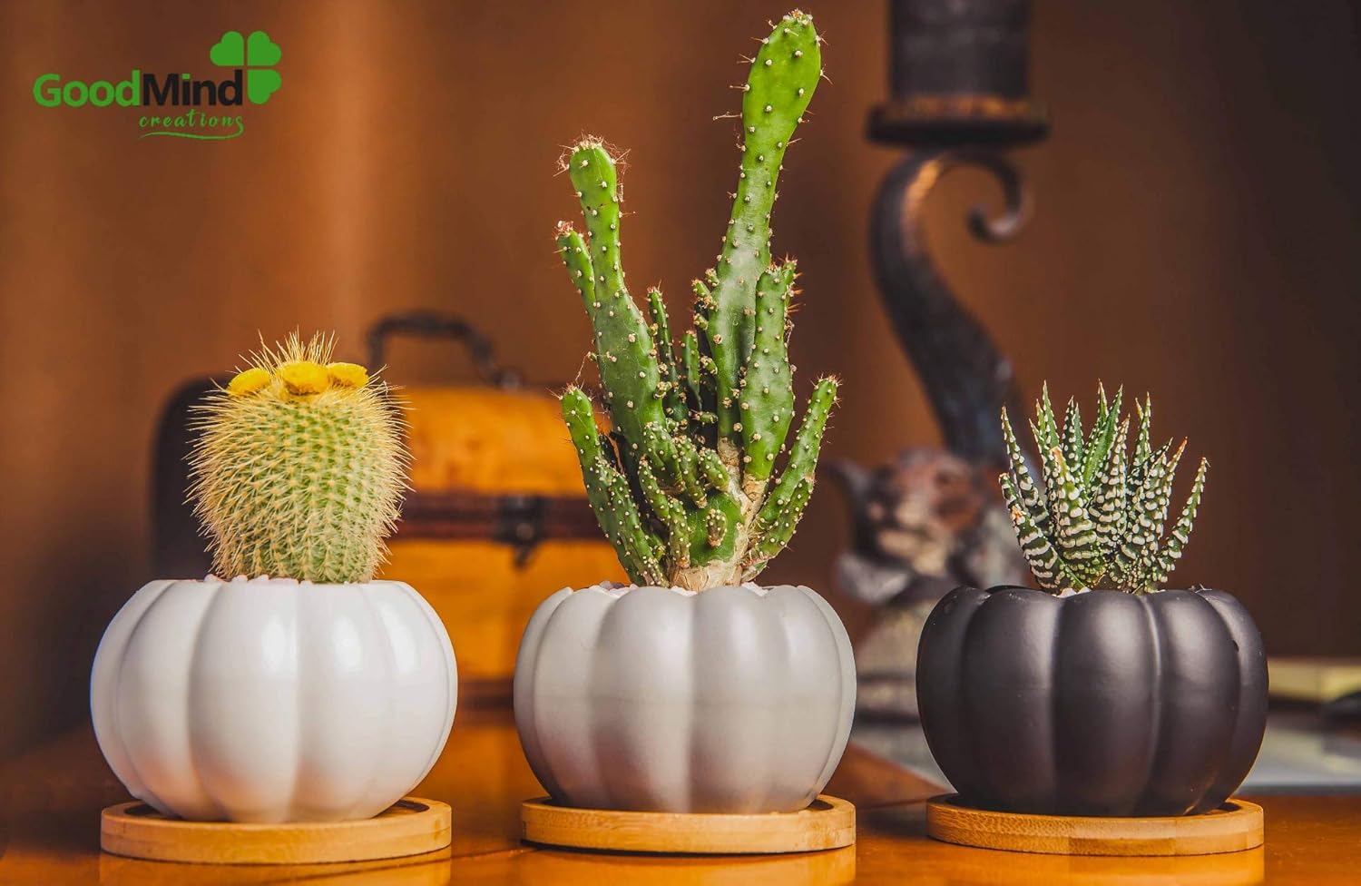 全店販売中 多肉植物またはサボテン ミニポット 水切り竹トレイ付き サボテン 花 ハーブ用の小さなプランター 3個セット かわいいホームオフィスや家のデコレーション パンプキン Rachelbaptista Com Br
