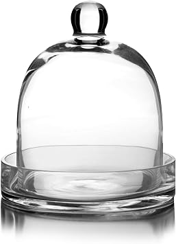 CYS EXCEL Glass Bell Dome Cloche مع قاعدة زجاجية H8 "W7" | خيارات متعددة الحجم غطاء نبات جرة تررم | عرض حلوى الكعكة