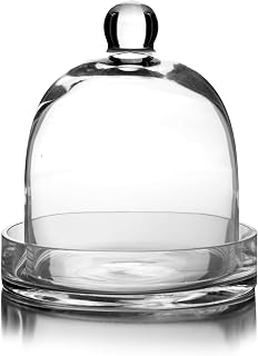 CYS EXCEL Glass Bell Dome Cloche with Glass Base (H:8" W:7") | Multiple Size Choices Terrarium Jar Plant Cover | Cake Dessert Display