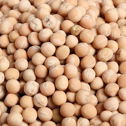 Miniatura 7 de Rani - Guisantes amarillos enteros secos Vatana Matar 400 onzas 25 libras caja a granel de 250lbs totalmente natural vegano apto para gluten