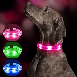 Coleiras de cachorro iluminadas LED Coleira de cachorro recarregável por USB, coleira de cachorro Vizbrite super brilhante de segurança que brilha no escuro, coleira de cachorro refletiva de nylon macio para cães pequenos, médios e grandes, perfeita para caminhadas noturnas