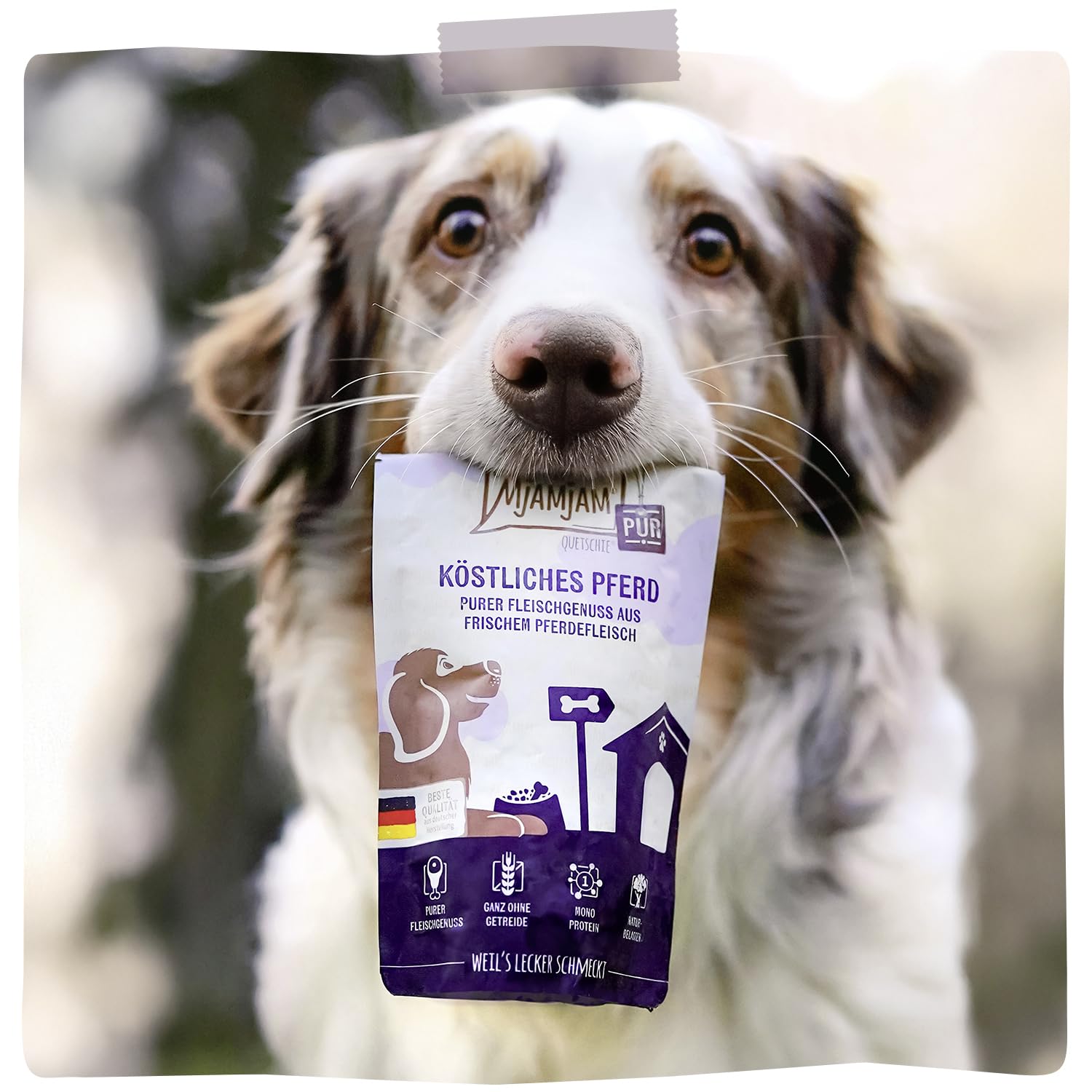 MjAMjAM - Premium Nassfutter für Hunde - Quetschie - purer Fleischgenuss - köstliches Pferd pur, 12er Pack (12 x 125g), getreidefrei mit extra viel Fleisch