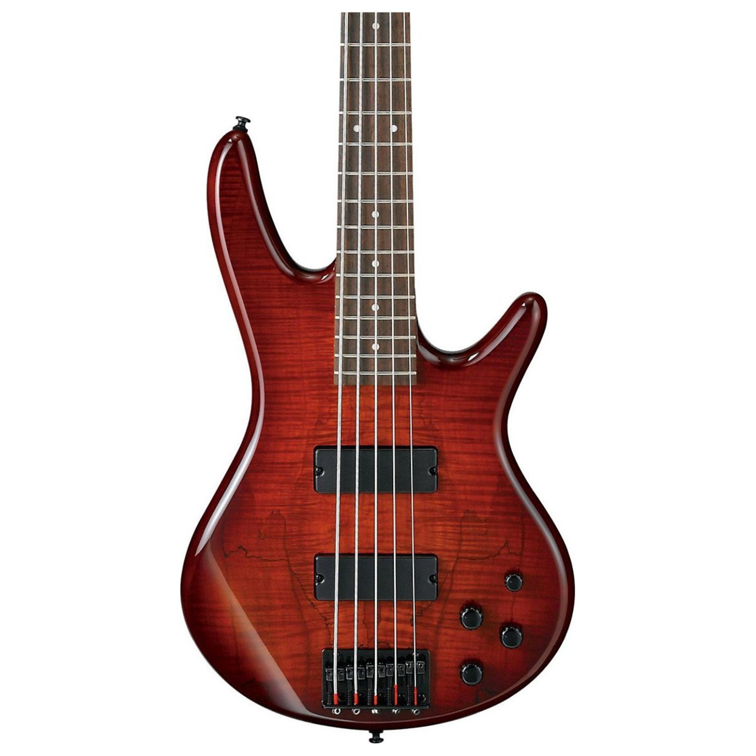 Amazon.com: Ibanez GSR205SMCNB - Spalted Maple Top Charcoal Brown