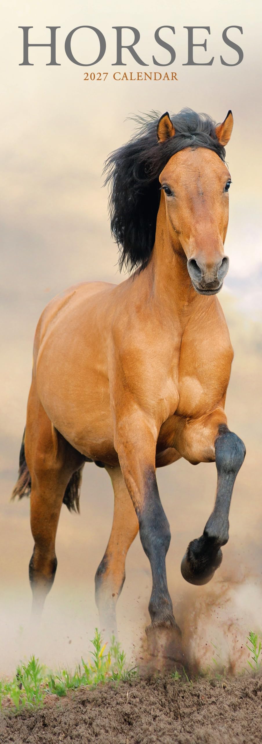Horses Slim Calendar 2027, Wall Calendars, Month To View, Animals, Gift