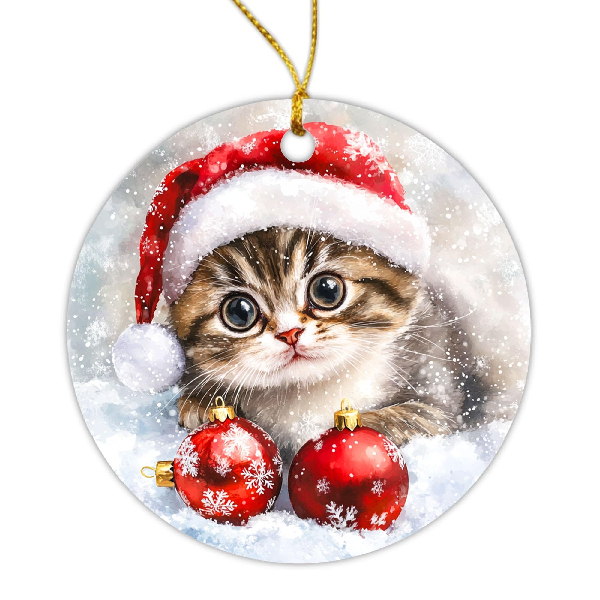 Amazon.com: Christmas Ornaments, Cat Lover Gifts for Women, Funny