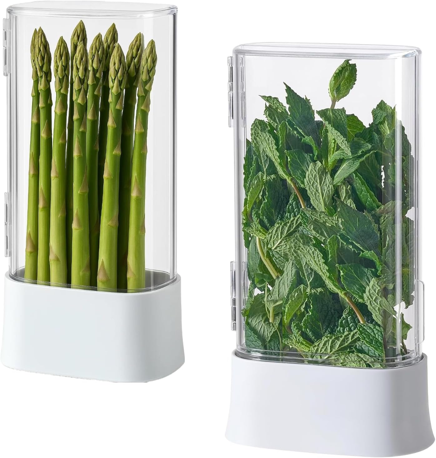 vacane Green Saver Herb Keeper 2-Pack: Fridge Storage for Cilantro, Asparagus & Herbs, Extends Freshness 10+ Days, Dishwasher Safe