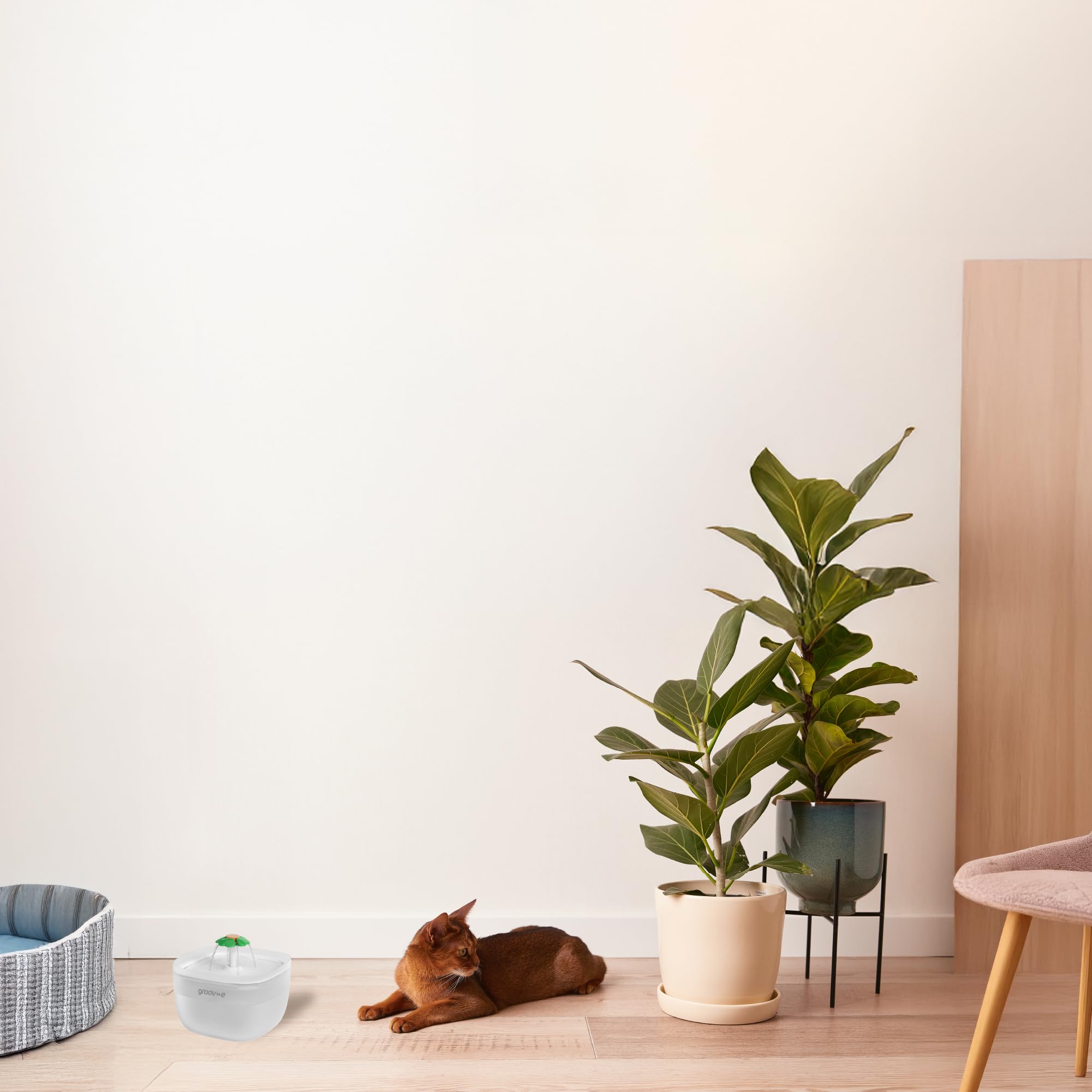 Groov-e Pet-Tech Fontaine à eau pour animaux de compagnie – Distributeur d'eau automatique pour chat et chien, réservoir de 2 L, débit silencieux, filtration à 4 couches, bol lumineux, design facile à