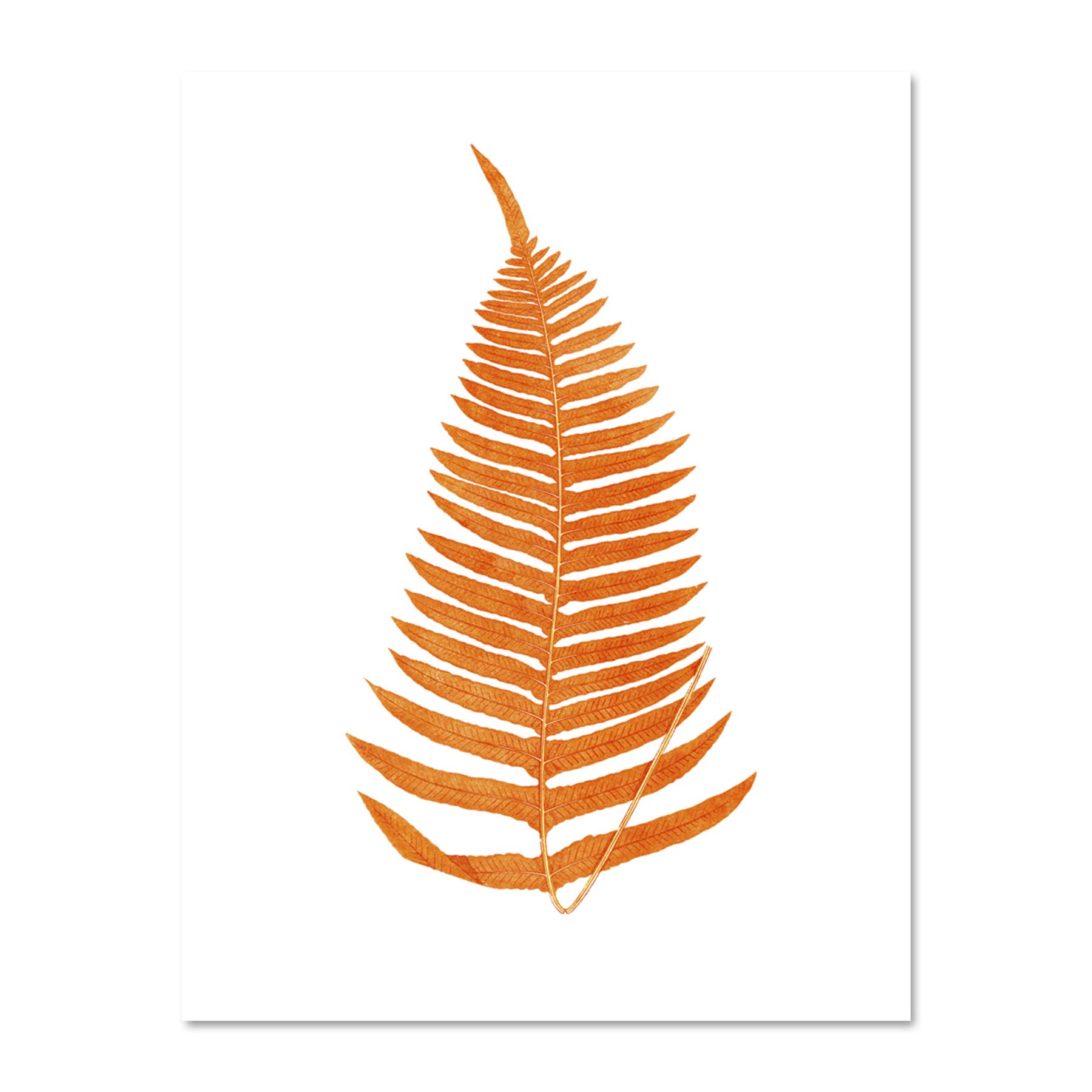 Wee Blue Coo Botanics Red Orange Fern Large White Framed Art Print Wall Poster 18x24 inch