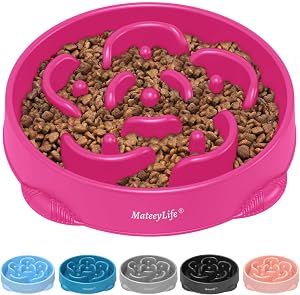 MateeyLife 2 db csúszásmentes lassú etető kutyatál kutyáknak, csúszásgátló felülettel