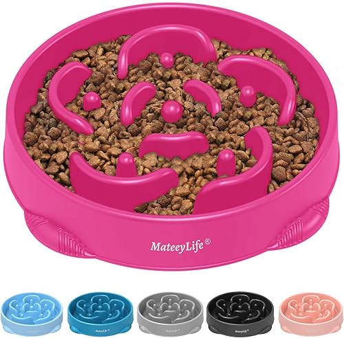 Miniatura 29 de MateeyLife Cuencos Pequeños de Alimentación Lenta para Gatos 2 Piezas, Cuencos de Comida para Gatos con Rompecabezas Anti-Asfixia, Alimentación