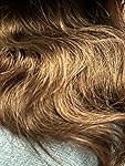 Review Image by CC CC