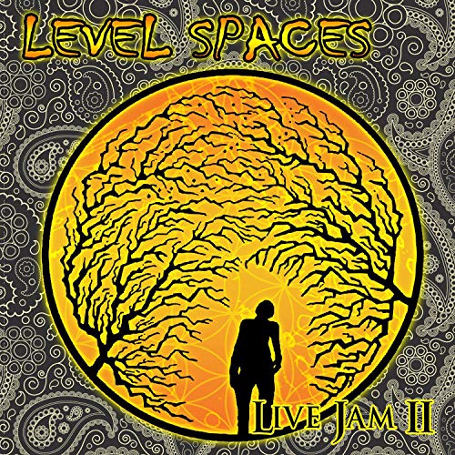 Level Spaces