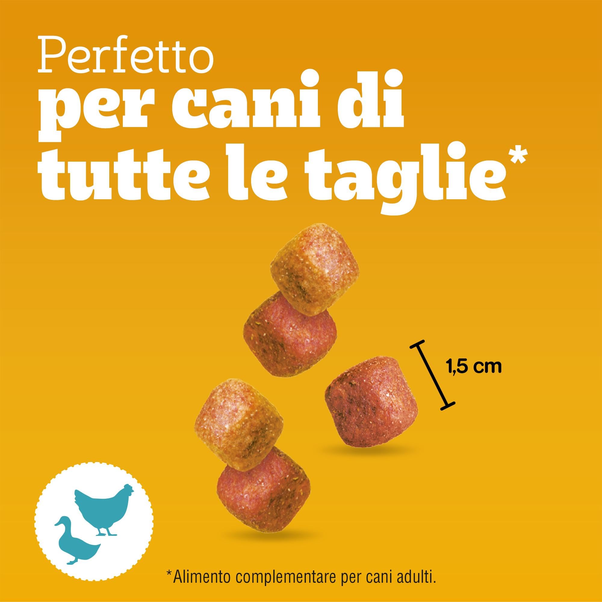 Pedigree Tasty Minis, Snack Cane al Pollo e Anatra, 6 Confezioni da 130g ciascuna