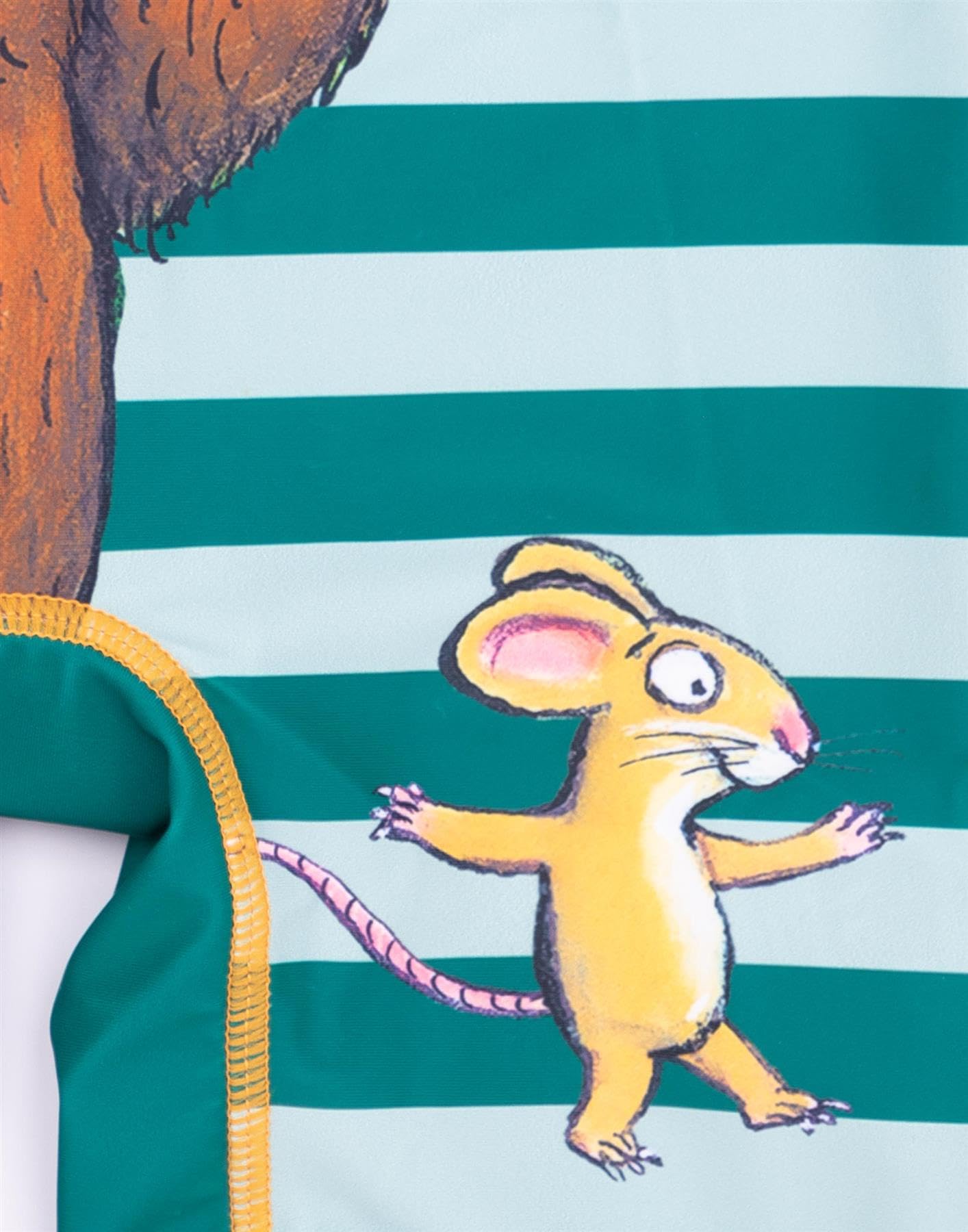 The Gruffalo El Traje de baño Boys Surf Suit | Niñas Niños pequeños Ratón Personajes del Bosque Traje de baño Verde Rayado | Mercancía de Libros Animados de programas de televisión