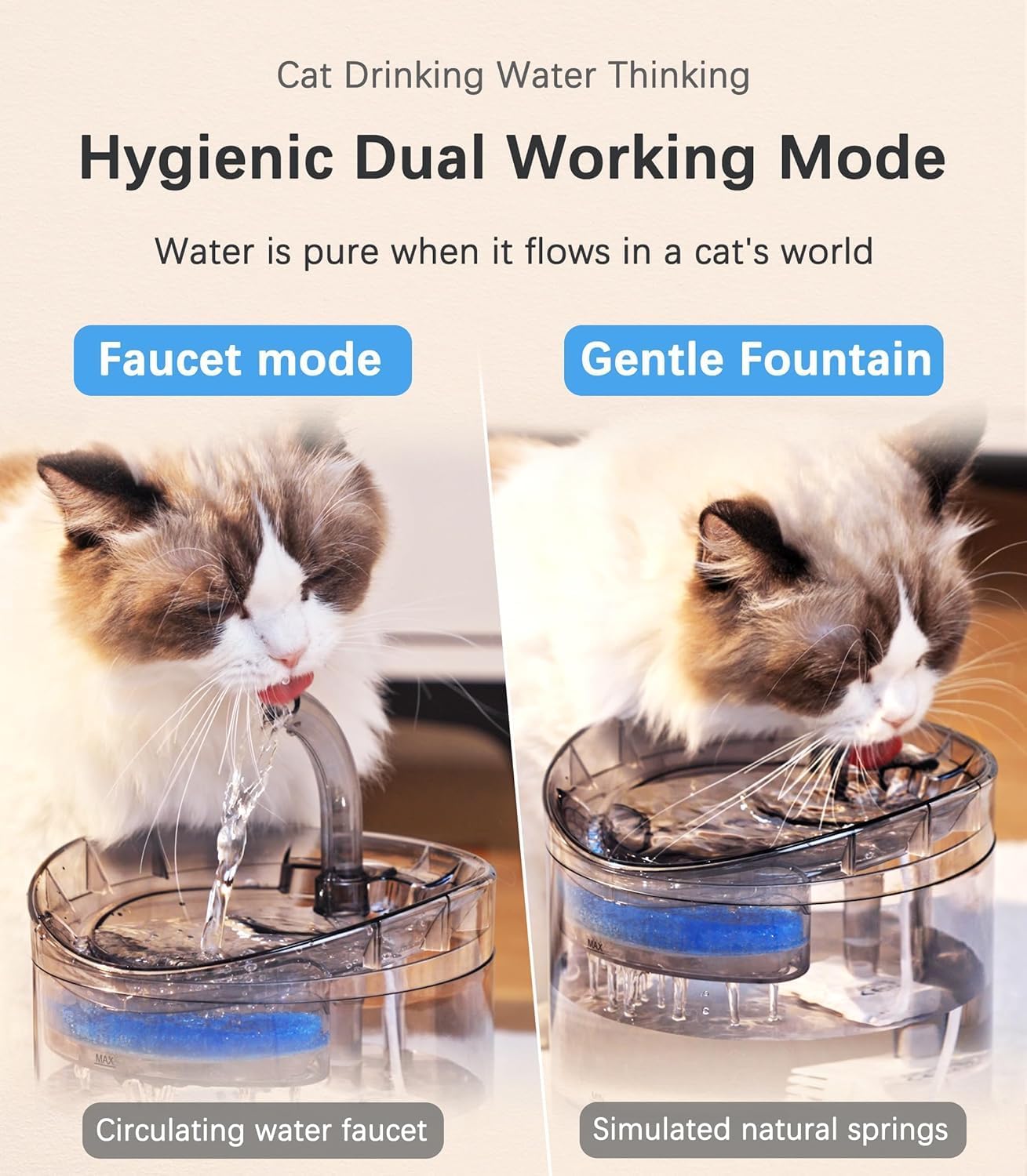 Cat Water Fountain Blue Flower Cat Fountain Cute Small Pet Water Fountain - for Kitten&Kitty& Small Dogs - 2L 1