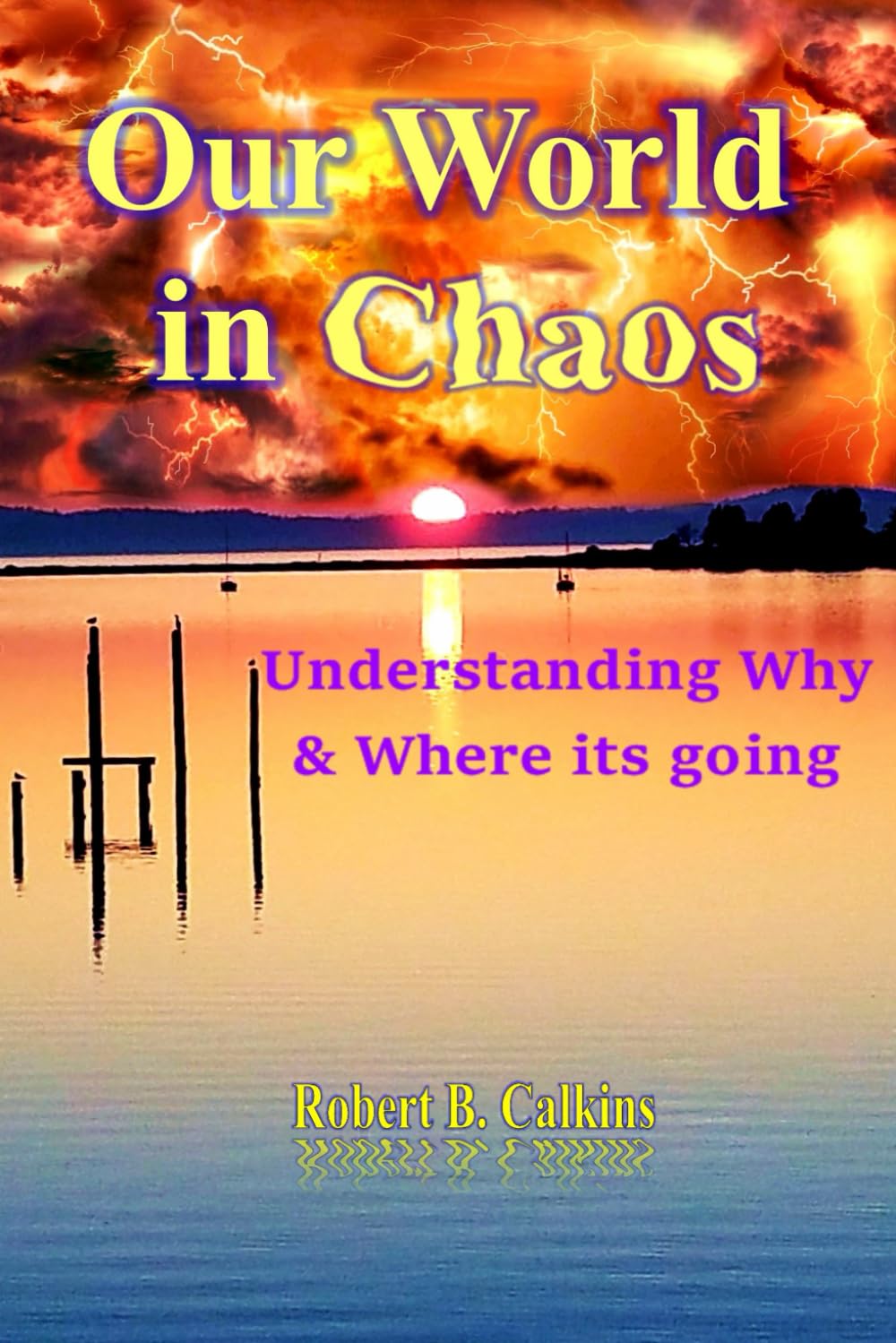 Our World in Chaos: Understanding Why & Where its Going