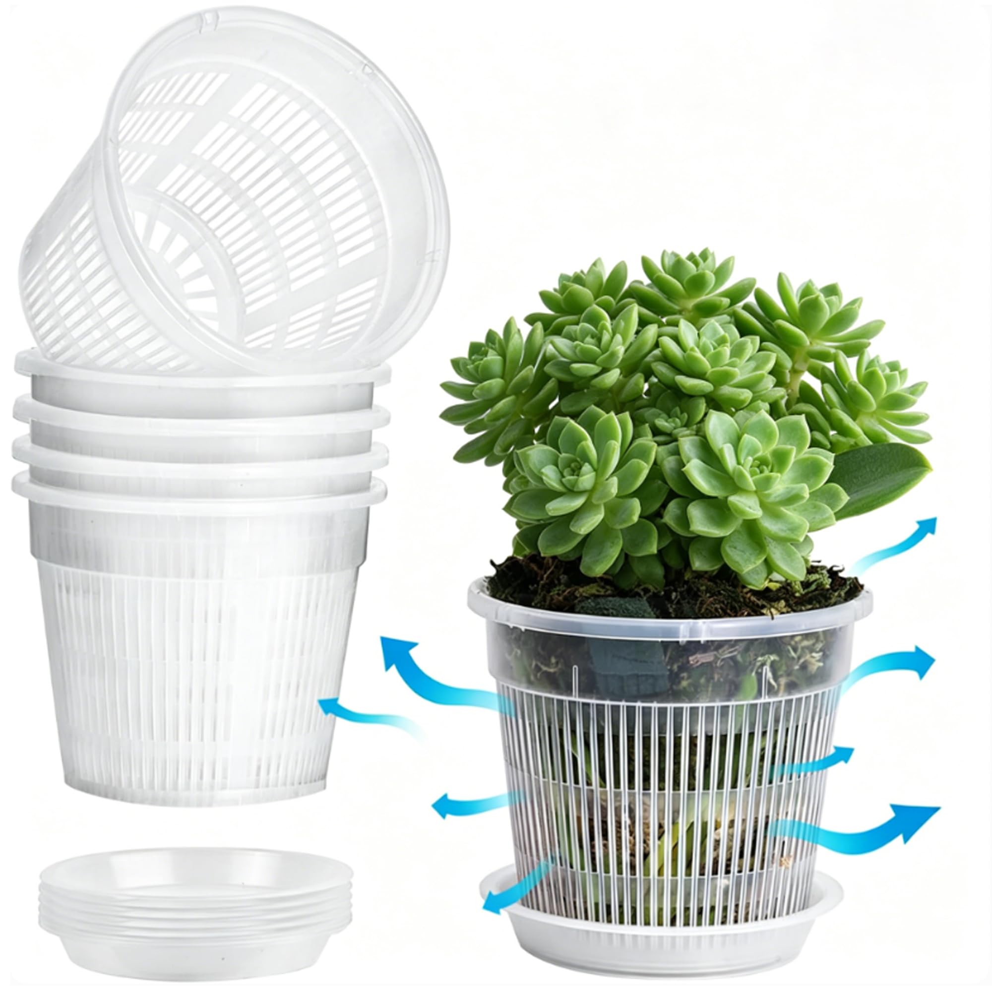 AmzDaKai Orchid Pot 6Pack, Clear Plant Pots with Drainage – Transparent Airflow Planter for Healthy Roots, Ideal for Indoor & Outdoor Orchids, 11x7.5x10cm