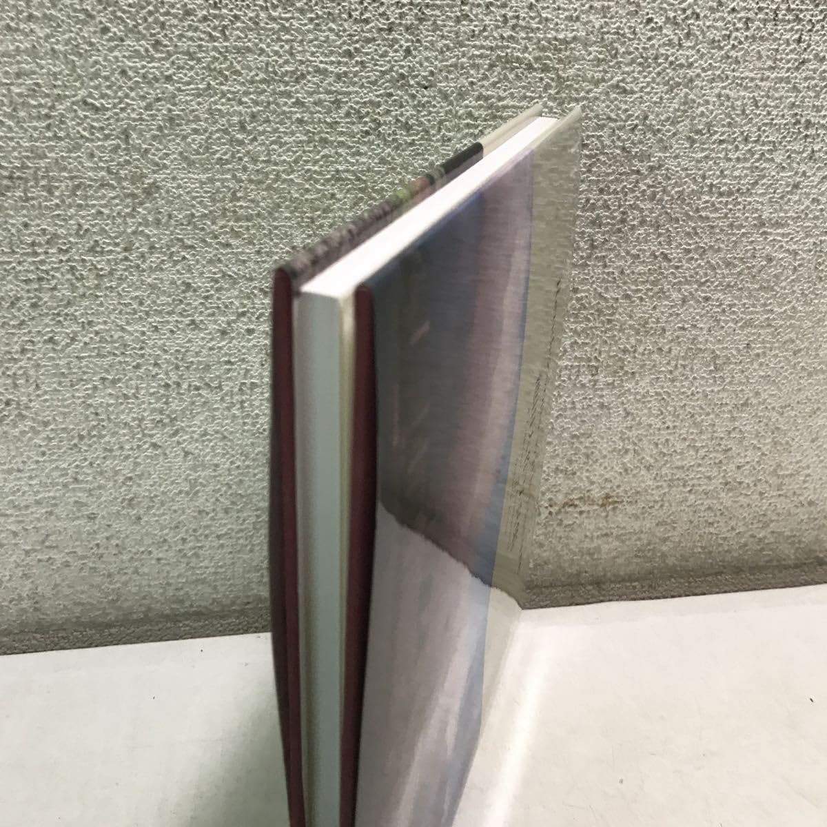 低価，大人気 池田大作 写真集 自然との対話 Vol.10 非売品 創価学会