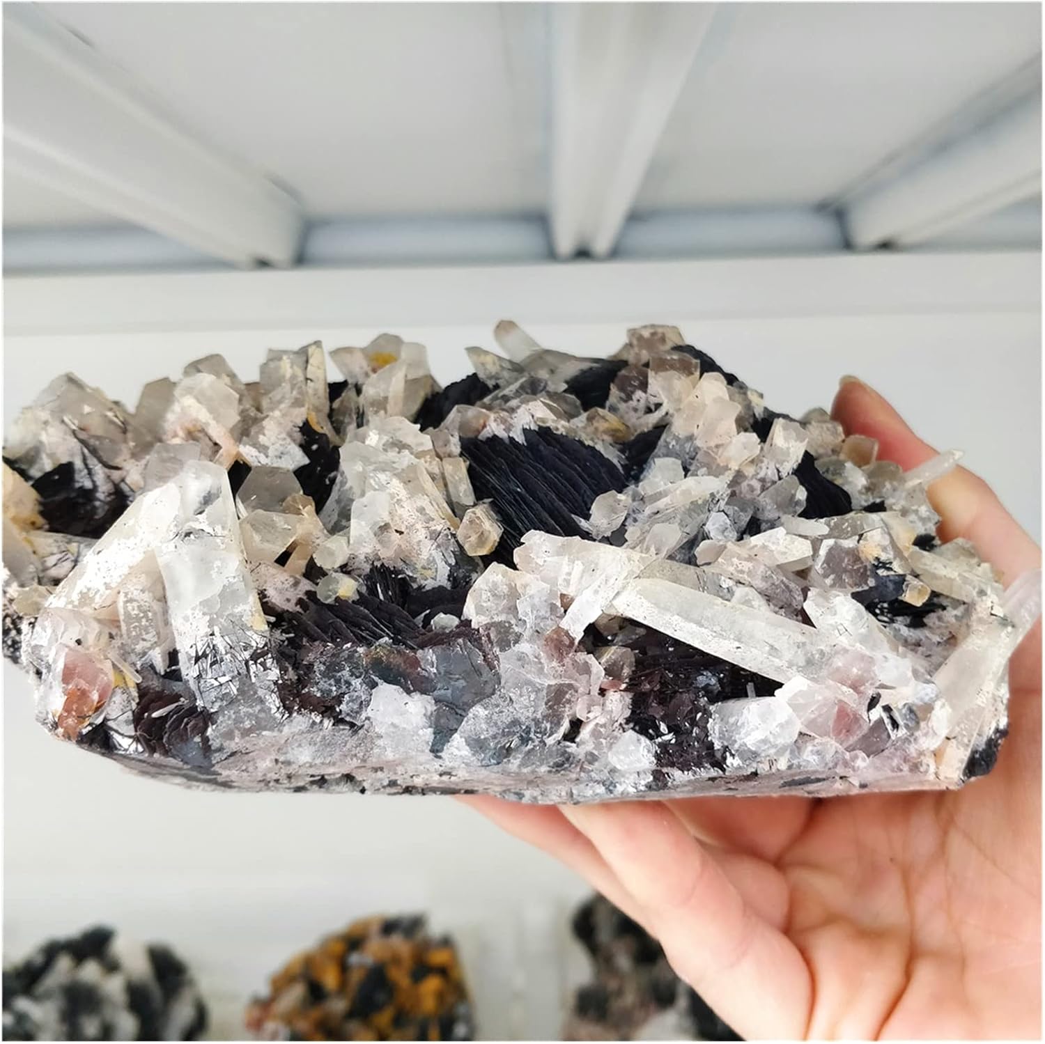 Neo Liscio ストレートニングトリートメント6本 4種セット ネオリシオ