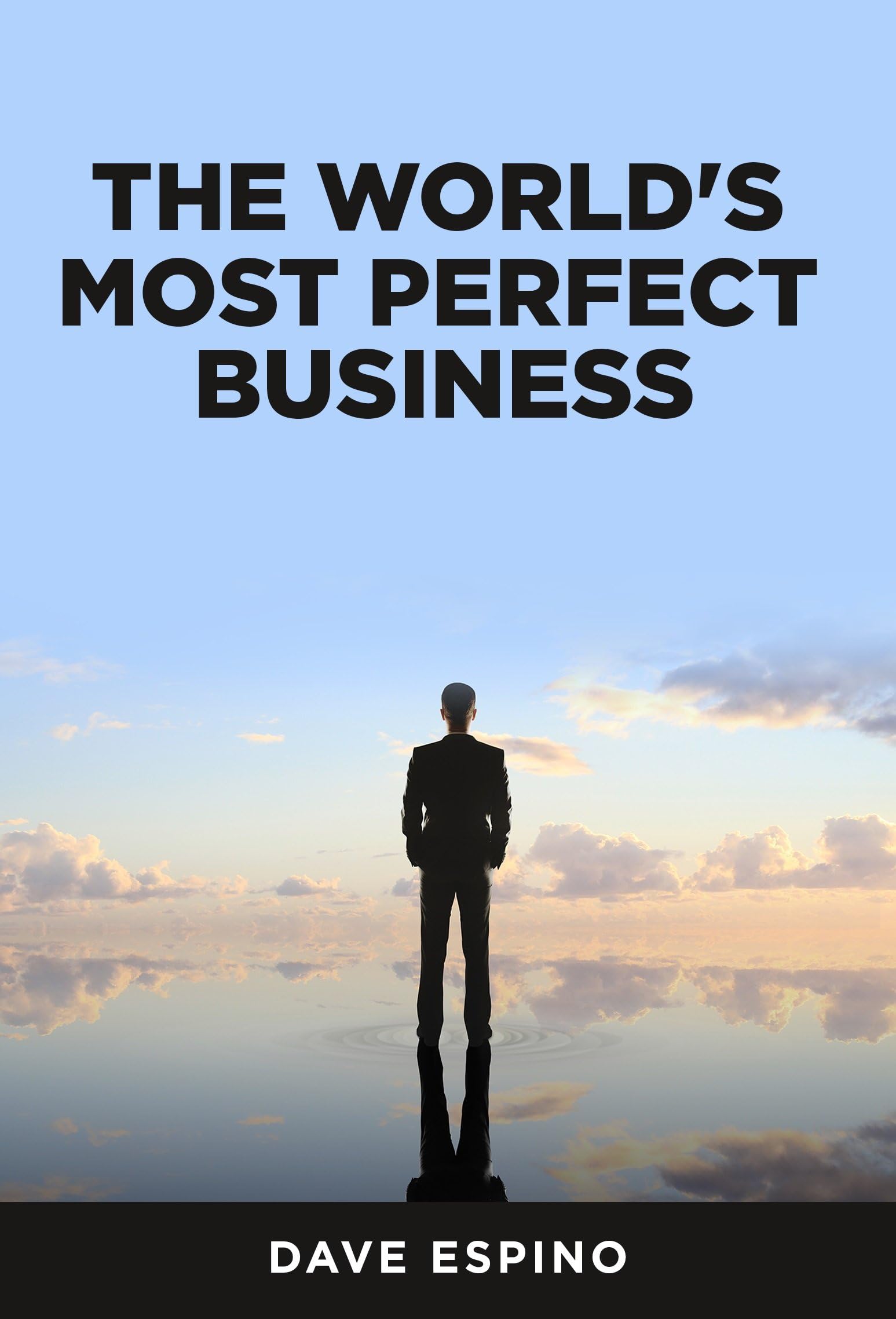 The World's Most Perfect Business