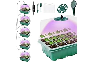 5-Pack Seed Starter Tray with Grow Light