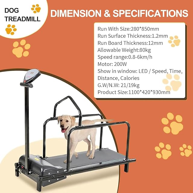 Foto 4 de 7 de ZXINXIN Cinta de Correr para Perros pequeños, Cinta de Correr para Perros pequeños