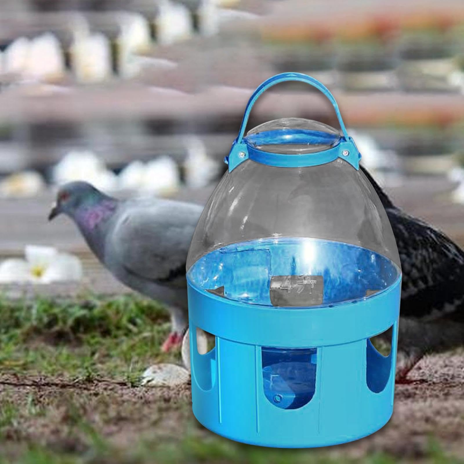 Tauben Trinkflasche, Geflügeltränke mit Tragegriff, Taubentränke Taubentränken, Bird Water Feeder Cage, Stabiler Wassertrinker für Tauben Pfauentauben, Nymphensittiche Wellensittich, 4l