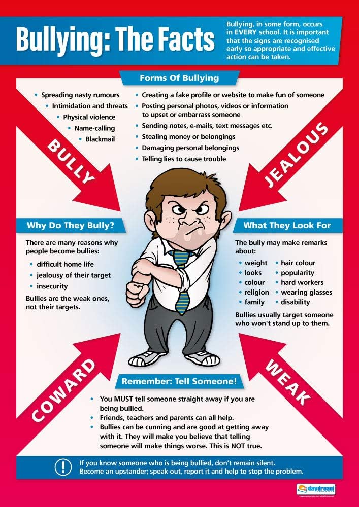 Daydream Education Bullying: The Facts | PSHE Posters | Gloss Paper measuring 850mm x 594mm (A1) | PSE Classroom Posters | Education Charts