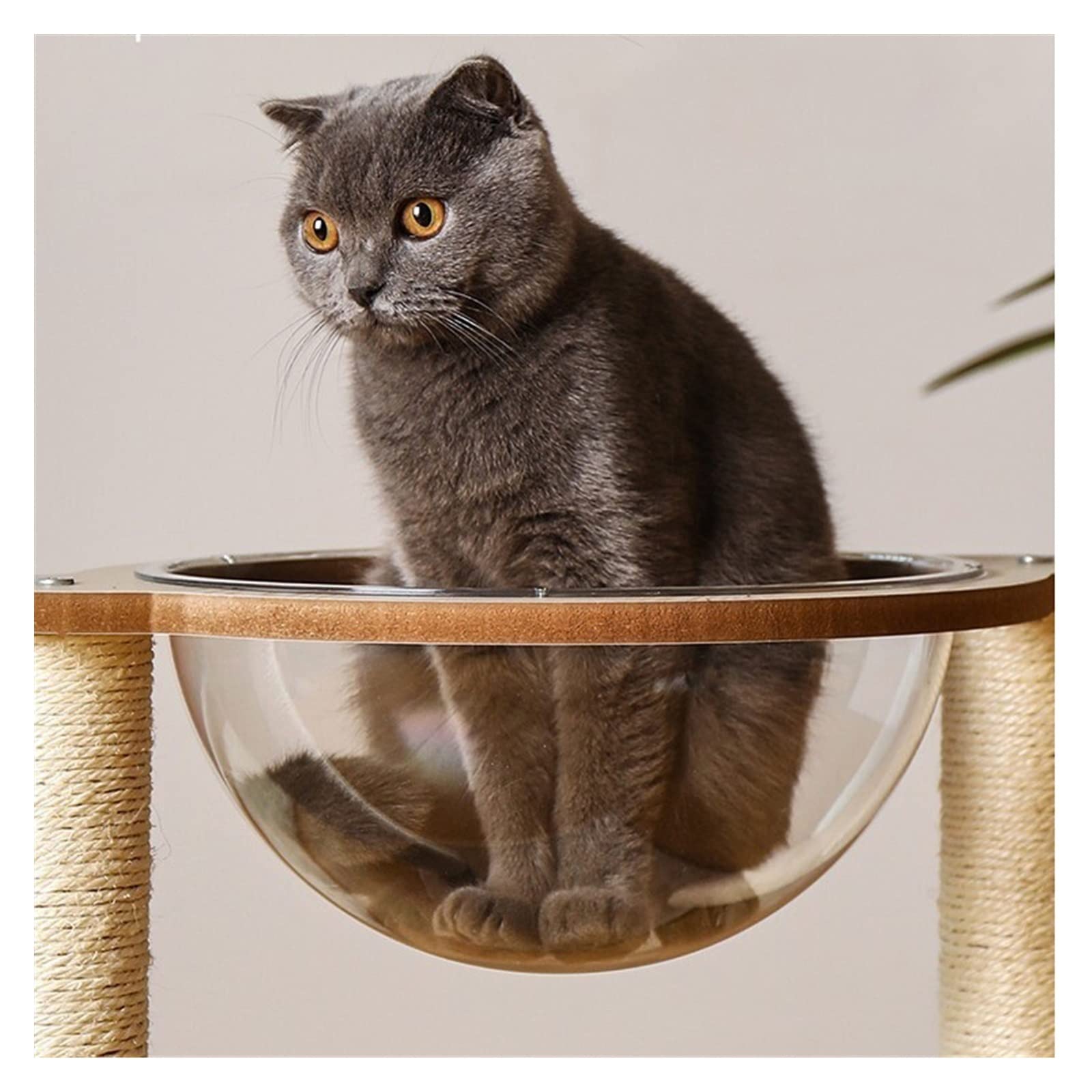 Albero da arrampicata per gatti Cat Climbing Frame Capsula spaziale Lettiera for gatti Tiragraffi for gatti Verticale Un giocattolo for animali domestici multifunzionale Tiragraffi, torre per gatti