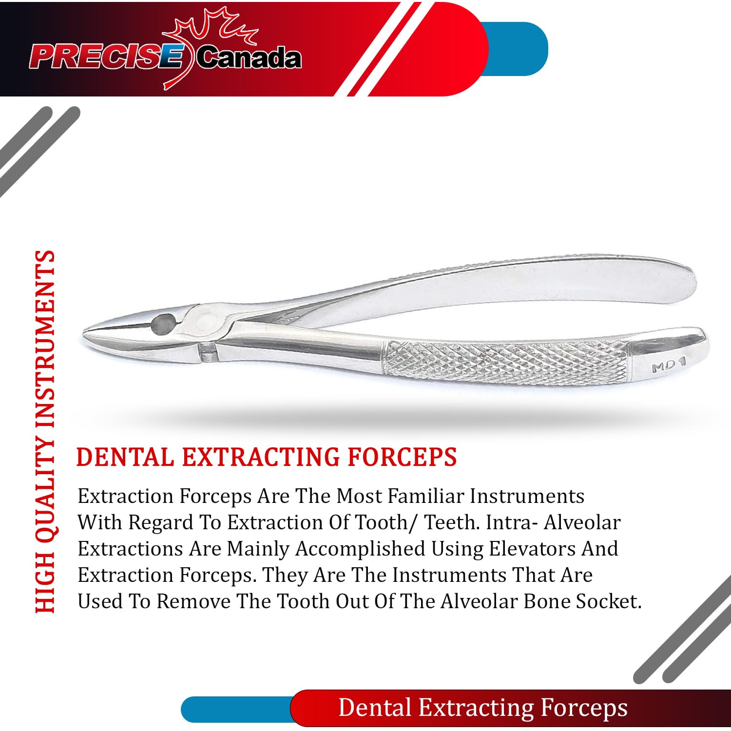 PRECISE CANADA: EXTRACTING FORCEP English Pattern Mead #MD1