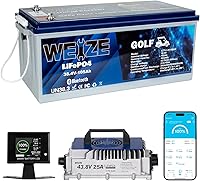 Vista 20 de WEIZE Batería de litio de 12 V/100 Ah Mini LiFePO4, BMS inteligente de 100 A incorporada, batería de ciclo profundo con protección de baja