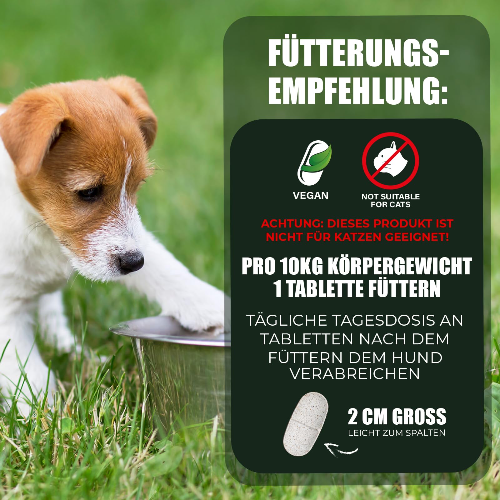 Saint Nutrition® Liquide vermifuges intestinaux végan Anti-vers pour Animaux – particulièrement conseillé pour Chiens et Chats, Vermifuge intestinale Naturel pour Chien & Chat, Contient 50 ML