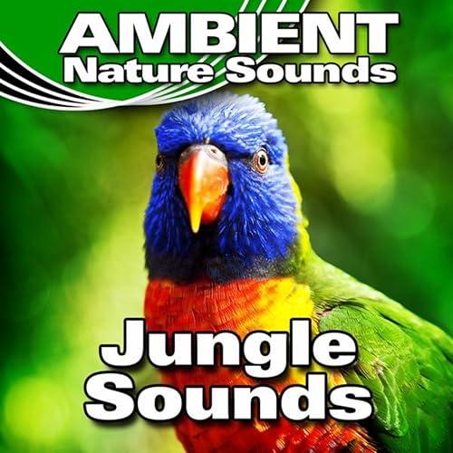 Jungle Sounds di Ambient Nature Sounds su Amazon Music Amazon.it
