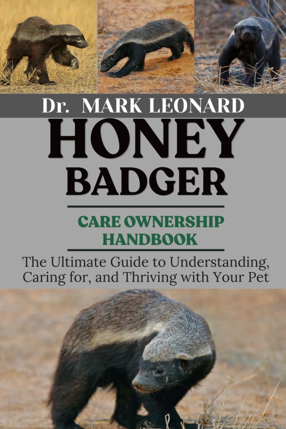 HONEY BADGER: The Ultimate Guide to Understanding, Caring for, and Thriving with Your Pet